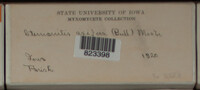 Image Associated With the Occurence